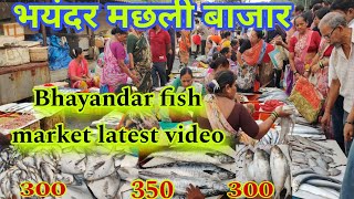 भयंदर मछली बाजार  Bhayandar fish market latest video  bhayandar fish market [upl. by Dlonyar]