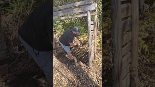 Lets Build a Woodshed Preparing for Winter Part 2 homesteading building preparation woodshed [upl. by Eileme]