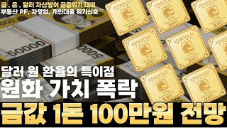 금값환율전망 원화가치 쇼크 제2의 IMF amp 금융위기 타이머 돌아갑니다 [upl. by Atekal]