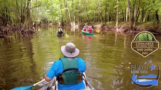 Palmetto Outdoor Guided Canoe Tour at Congaree National Park [upl. by Lokin]