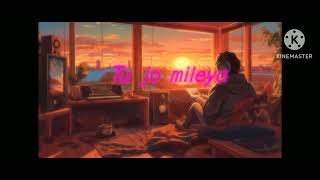 tu jo mileya lofi song [upl. by Rahal843]