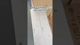 Soft pack battery pack and shipshorts lifepo4battery factory lithiumbattery [upl. by Radloff]