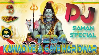 1234 Kawadiye A Gaye Haridwar  2018 DJ Bhole Songs  The SK Style [upl. by Aneg372]