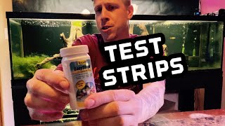 How to Use Tetra Aquarium Test Strips [upl. by Temirf]