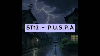 ST12  PUSPA  Lirik [upl. by Nairahcaz308]