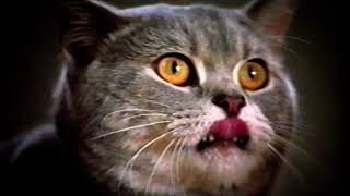 Whiskas VitaBites  TV Ad  Australia 2002 [upl. by Aratnahs]