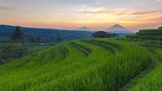 Relaksasi Musik Sunda di Jatiluwih [upl. by Trici]