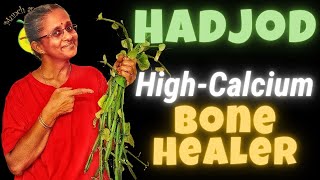 HadjodPirandai Best of Calcium rich foods for Bones in India [upl. by Dehnel]