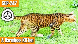 SCP247 quotA Harmless kittenquot  The Tiger that Looks Like a Kitten [upl. by Gainer]