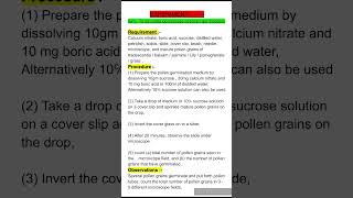 To calculate percentage of pollen germination  Class 12th  Biology practical shortvideo viral [upl. by Naillij]