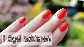 Nägel sauber lackieren  Tutorial  Collchen14 [upl. by Maureene]