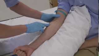 How to select the best vein for clinical skills cannulation and venepuncture [upl. by Rahr]