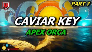 Caviar Key 100 all landmarks  Apex Orca  MANEATER walkthrough no commentary part 7 [upl. by Parthen]