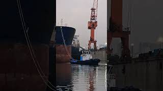 Working tugboat ship maritime shipping marine vessel sea floating seaman boat tugboat [upl. by Gnouhk]