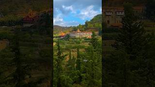 Machairas Monastery with its amazing Cypriot nature [upl. by Adneral]