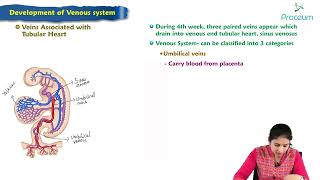 Development Venous system  Embryology Lecture [upl. by Notyard]