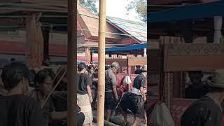 Tongkonan Banua Sura Kambisa youtubeshorts travelvlog torajaunik youtube [upl. by Livingston121]