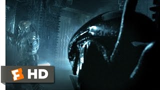 AVP Alien vs Predator 2004  Alien vs Predator Scene 25  Movieclips [upl. by Enomes]