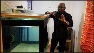 Water Cycling for a New tank  Beneficial bacteria growth Tips [upl. by Strepphon]