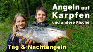 Angeln auf Karpfen und andere Fische  Tag amp Nachtangeln mit verschiedenen Montagen und Ködern [upl. by Noella]