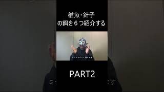 針子、稚魚の餌を6つ紹介します！Part2メダカ飼育 メダカメダカ稚魚 [upl. by Casta]