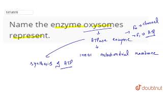 Name the enzyme oxysomes represent  11  RESPIRATION IN PLANTS  BIOLOGY  PRADEEP  Doubtnut [upl. by Offen]