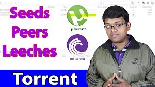 How Torrents Works Seeds Peers Leeches Explained  Peer to Peer Network Explained In Hindi [upl. by Huxham140]