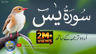 Surah Yaseen  Yasin with Urdu Tarjuma  Quran tilawat  Episode 03  Quran with Urdu Translation [upl. by Dublin385]