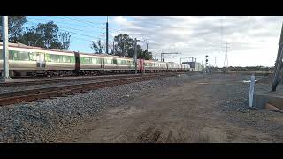 Adelaide Metro 3128 Hybrid  3127 Hybrid  3136  3135  3005 at Dry Creek Triangle [upl. by Euqinad759]