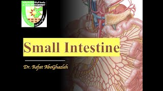 Anatomy of Small Intestine Duodenum Jejunum and Ileum [upl. by Kulsrud]