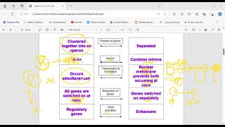 Lac Operon  Try Operon  Transcription control of gene regulation [upl. by Dweck]