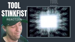 TOOL  Stinkfist REACTION amp Lyrics Meaning  Dont Give Maynard Knuckles [upl. by Vullo80]