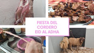 FIESTA DEL CORDERO EN TETUAN MARRUECOS eid al adha EID KBIR [upl. by Sila]