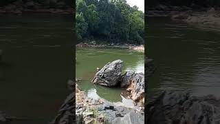 fishing meghalaya umkhenriver fishing🎣 [upl. by Montgomery]