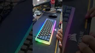 DZ60v3  Switch durock T1 sound test [upl. by Akinwahs]