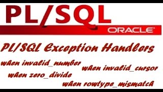 How to Handle PL SQL Exceptions in Oracle [upl. by Flossi849]