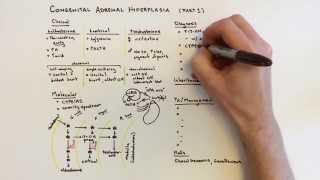 Congenital Adrenal Hyperplasia CAH  1 of 2 [upl. by Mick]