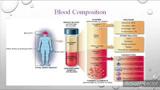 Blood components and functions [upl. by Uv]