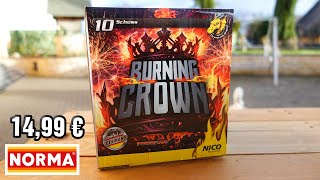 Nico Burning Crown  Der neue Goldhammer  Norma 1499 €  Flower Crown Batterie Full HD [upl. by Nnylatsyrk462]