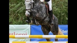 wwwsporthorsesonlinecom 2009 Hanoverian jumper gelding by Cassus SOLD [upl. by Jarrod772]