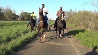 Arkansas Singlefooting Road Race on US Highway 67 [upl. by Kennet473]