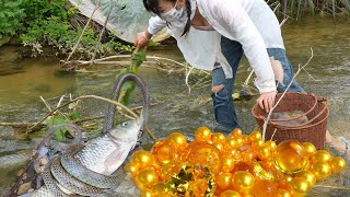 Teenage Girls Incredible Riverbank Find Giant Mussel Contains Collection of Valuable Pearls [upl. by Mcintyre155]