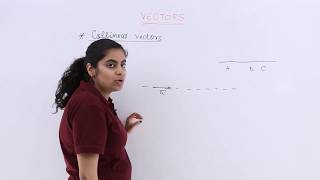 Class 12th – Collinear Vectors  Vector Algebra  Tutorials Point [upl. by Anabel391]