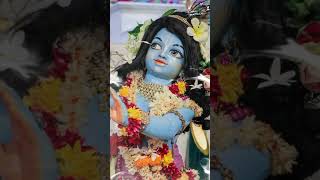 Damodarastakam‼️ damodarastakam iskcon‼️krishna damodar [upl. by Hazelton]