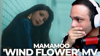 YA NO SÉ QUE PENSAR🤯  MAMAMOO quotWIND FLOWERquot MV  LYRICS  CONCIERTO REACCION por PRIMERA VEZ [upl. by Piselli]