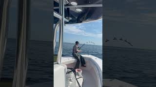 Down and tight garminmarine fishing garmin grundens alutecnos shimano bluefintuna [upl. by Suivatal]