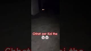 Chhat per Koi tha👻👻youtubeshorts shortvideo germensheperd viralshort youtubeshorts meme [upl. by Anecusa410]