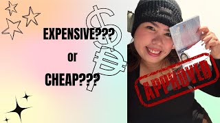 K1 VISA COST EXPENSES AND TIMELINE [upl. by Kalvn372]