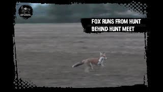 Fox runs from hunt behind hunt meet [upl. by Liahcim414]