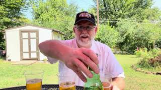 Jerry’s 1st Blind Taste Test Heineken Carlsberg and Stella Artois  The Beer Review Guy [upl. by Alita704]